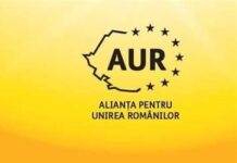 Olt: Cine candidează la parlamentare pe listele AUR