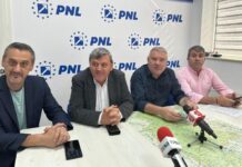 Mario de Mezzo: ”Senatorul tiktokcăr păcanele”