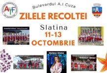 ”Zilele Recoltei” între 11 și 13 octombrie, pe Bulevardul A. I. Cuza din Slatina