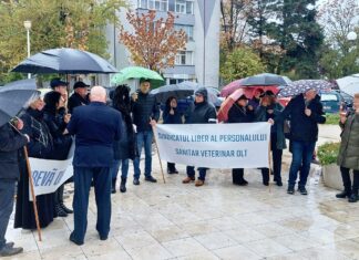 Angajații Direcției Sanitar-Veterinare și pentru Siguranța Alimentelor Olt, protest în fața Prefecturii Olt