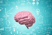 Profesioniștilor din Compania de Apă Olt le-a luat mintea foc