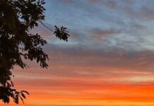 APUSUL DE SOARE ÎN ZONA SLATINEI, PE RÂUL OLT, UNIC ȘI SPECTACULOS!