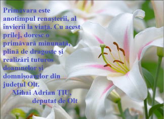 Felicitare 1 Martie – Deputat de Olt, Mihai Adrian ȚIU