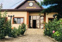 REDEA. MASCARADĂ… LA TELEVIZOR!