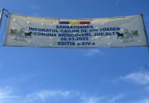 Sărbătoarea “Încuratu’ Cailor de Sân’ Toader“ de la Brâncoveni a ajuns la ediția cu numărul 14