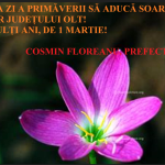 Fără titlu