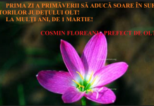 Felicitare 1 Martie – Cosmin Floreanu, prefect de Olt