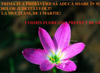Felicitare 1 Martie – Cosmin Floreanu, prefect de Olt