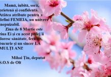 Felicitare 8 Martie, deputat Mihai Țiu