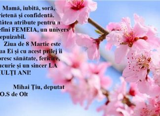 Felicitare 8 Martie, deputat Mihai Țiu