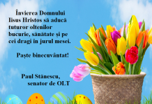 Felicitare – PAUL STĂNESCU