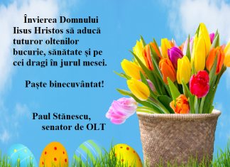 Felicitare – PAUL STĂNESCU