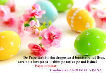 Felicitare – AGROMEC VIȘINA