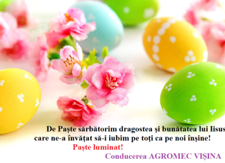 Felicitare – AGROMEC VIȘINA
