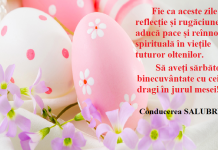 Felicitare – SALUBRIS