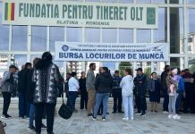 Olt: 14 firme au confirmat participarea la Bursa Locurilor de Muncă