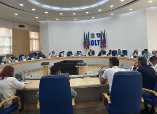 PNL Olt pierde un consilier județean