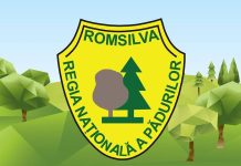 Romsilva Olt, fără… director!