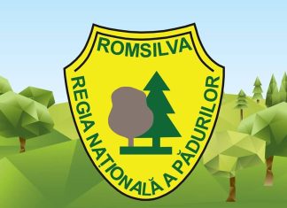 Romsilva Olt, fără… director!