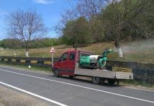 Primăria Brebeni, în luptă cu insectele