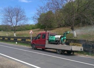 Primăria Brebeni, în luptă cu insectele