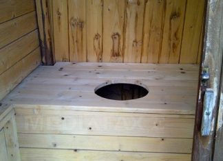 Olt: mulți elevi, la toaleta din curte