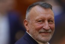 Paul Stănescu, activitate parlamentară