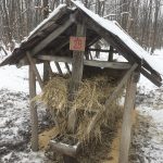 FB_IMG_1768469567322