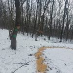 FB_IMG_1768469575461