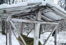 Direcția Silvică Olt-mobilizare de urgență