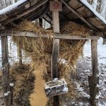 FB_IMG_1768471778896