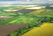 ROMĂNIA -PREA UȘOR ȘI MULT VINDEM PĂMĂNTUL STRĂINILOR !