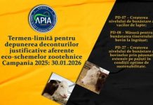 APIA: termen-limită pentru eco-schemele zootehnice