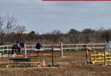 Scandal la Hipodromul din Craiova: instructor acuzat de abuz asupra animalelor