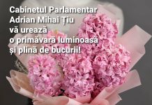 Felicitare 1 Martie-Cabinetul Parlamentar Adrian Mihai Țiu