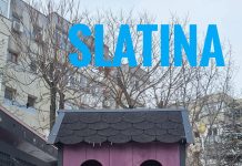 PRIMARUL SLATINEI SE LAUDĂ CU CĂSUȚELE PENTRU PISICI, LA PREȚURI FABULOASE!