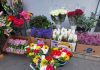 Comerțul cu flori crește înainte de 8 martie. Lalelele și freziile, cele mai cumpărate