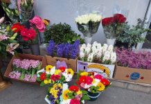 Comerțul cu flori crește înainte de 8 martie. Lalelele și freziile, cele mai cumpărate
