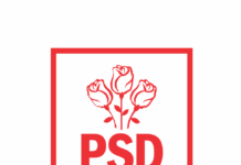 Zi importantă pe agenda politică de la Slatina