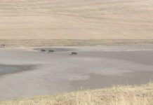 Lacul Ipotești revine la viață după luni cu precipitații consistente