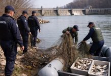 Plase ilegale scoase din Olt, pești eliberați înapoi în apă după o acțiune de control la barajul Ipotești