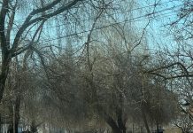 Caracal: lucrări în mai multe zone ale orașului, pe fondul proiectelor de modernizare