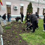 WhatsApp Image 2026-03-31 at 18.16.43