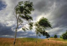 Vreme rece și vânt puternic în Olt. Temperaturile rămân scăzute și mâine