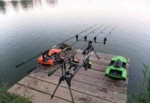 Balta Spineni a reluat popularea cu crap și își pregătește sezonul pentru partide de pescuit recreativ