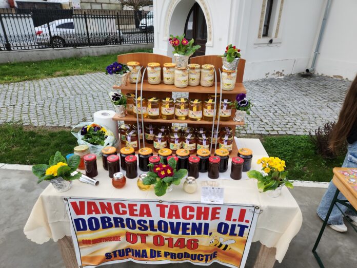 663189613_122216821424362376_9213692743836758167_n