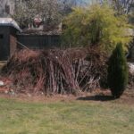 666733546_1271521211830518_3247149442625125038_n