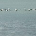 WhatsApp Image 2026-04-02 at 08.38.19