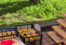 Apicultorii și produsele lor, prezenți la „Piața Producătorilor Olteni” din Slatina