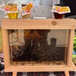 WhatsApp Image 2026-04-05 at 16.16.52